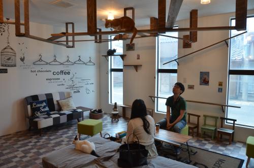 猫を眺めて過ごす来店客=米子市皆生温泉4丁目