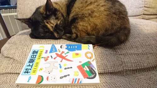 あたり猫と、あたり本
