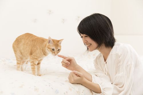 春ちゃんをあやす飼い主の理恵さん
五十嵐健太撮影
