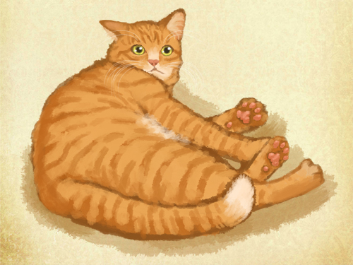 調子がよくないミーコ