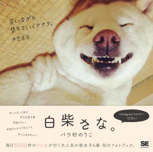 「白柴さな。」翔泳社刊、926円(税別)