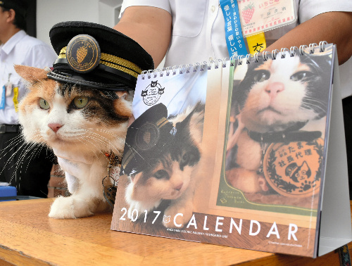 ニタマが「主役」を務める2017年のカレンダー=和歌山県紀の川市の和歌山電鉄貴志駅