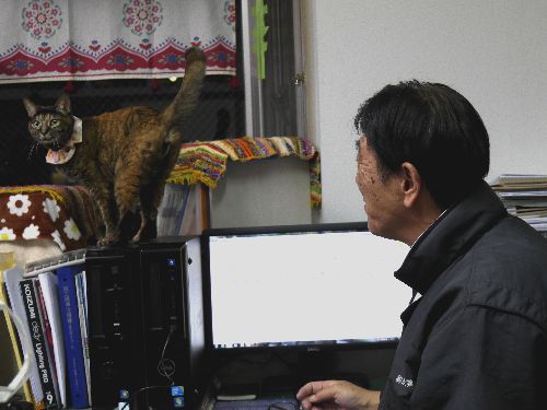 動物好きな営業担当のぶさん「いつも癒してもらってるよ」