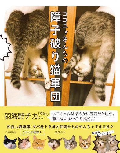 「ココにゃさんちの障子破り猫軍団」
著者ココニャ 河出書房新社 定価1200円+税