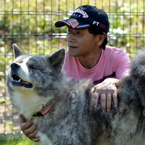 保護した秋田犬と赤間さん(太田康介撮影)