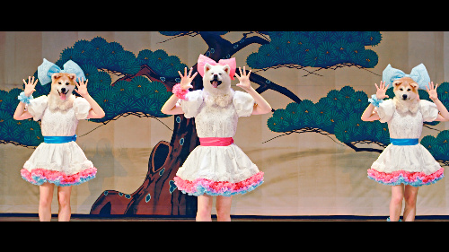 頭が秋田犬のアイドルが歌って踊る動画「Waiting4U」=秋田犬ツーリズム提供