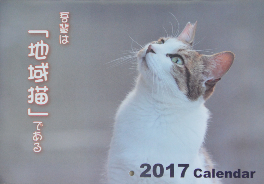 地域猫カレンダーの表紙