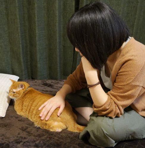 Oさんと、たま