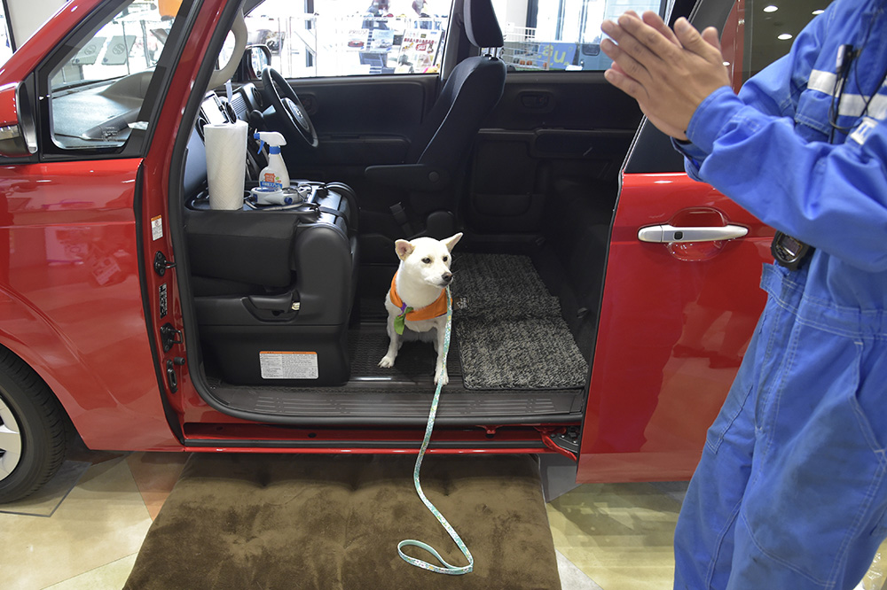 飼い主さんが離れても待っていられるかな?