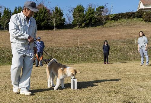 地方の方も参加した里守り犬のトレーニング会
