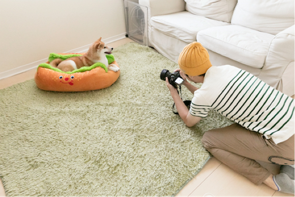 「カメラ=おやつ直前の楽しい時間だから、今すごくウキウキしていると思いますよ。心の中はきっと“おやつの時間キター!”という感じ」と恵如さんが解説。人気の「ホットドッグ写真」もこのリビングで撮影された