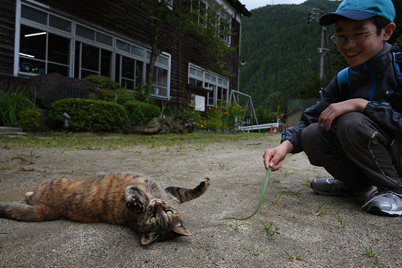 「猫とはこうやって遊ぶのニャよ」。神奈川県から訪れた小学生に指導する