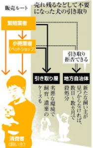 売れ残るなどして不要になった犬の引き取り