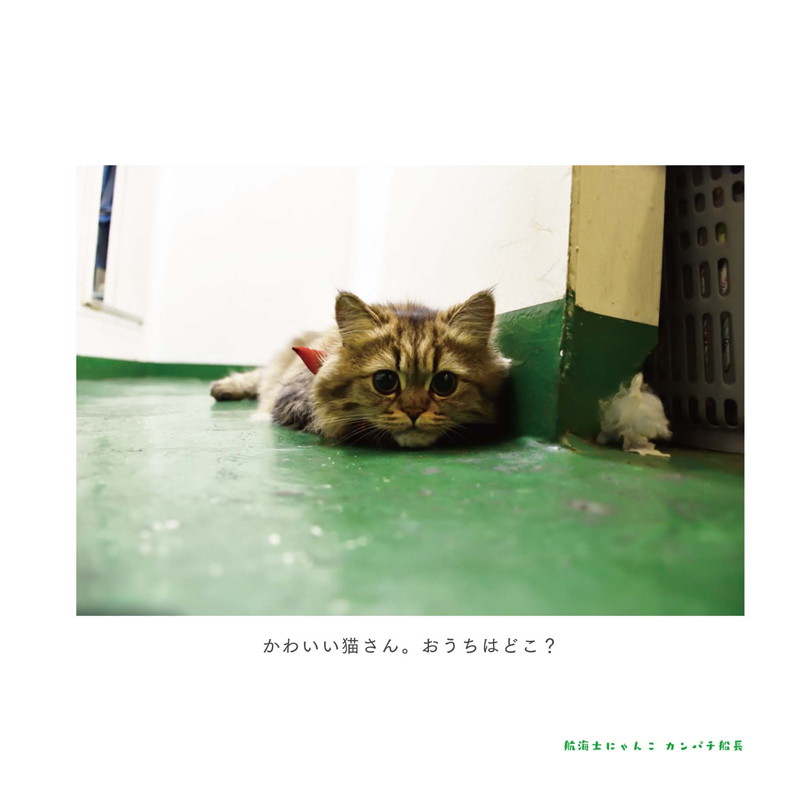 『航海士にゃんこ カンパチ船長』より=河出書房新社提供