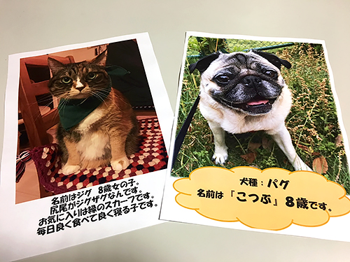 応募された犬猫の写真=小倉昭和館提供
