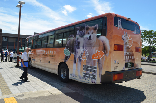 秋田犬のラッピングバス=大館市
