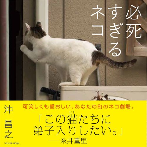 辰巳出版(タツミムック)本体価格1200円