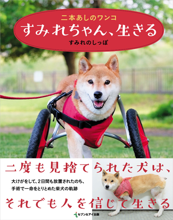 セブン&アイ出版 1300円(税別)