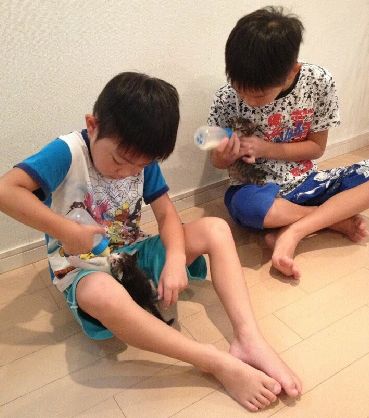 授乳ブラザーズ。(右は長男の凪詩君)近所の子供たちも世話にくることがある(神保枝美さん撮影)