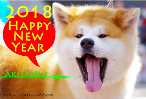 年賀状用の秋田犬の画像©忠犬ハチ公と秋田犬のふるさと大館市