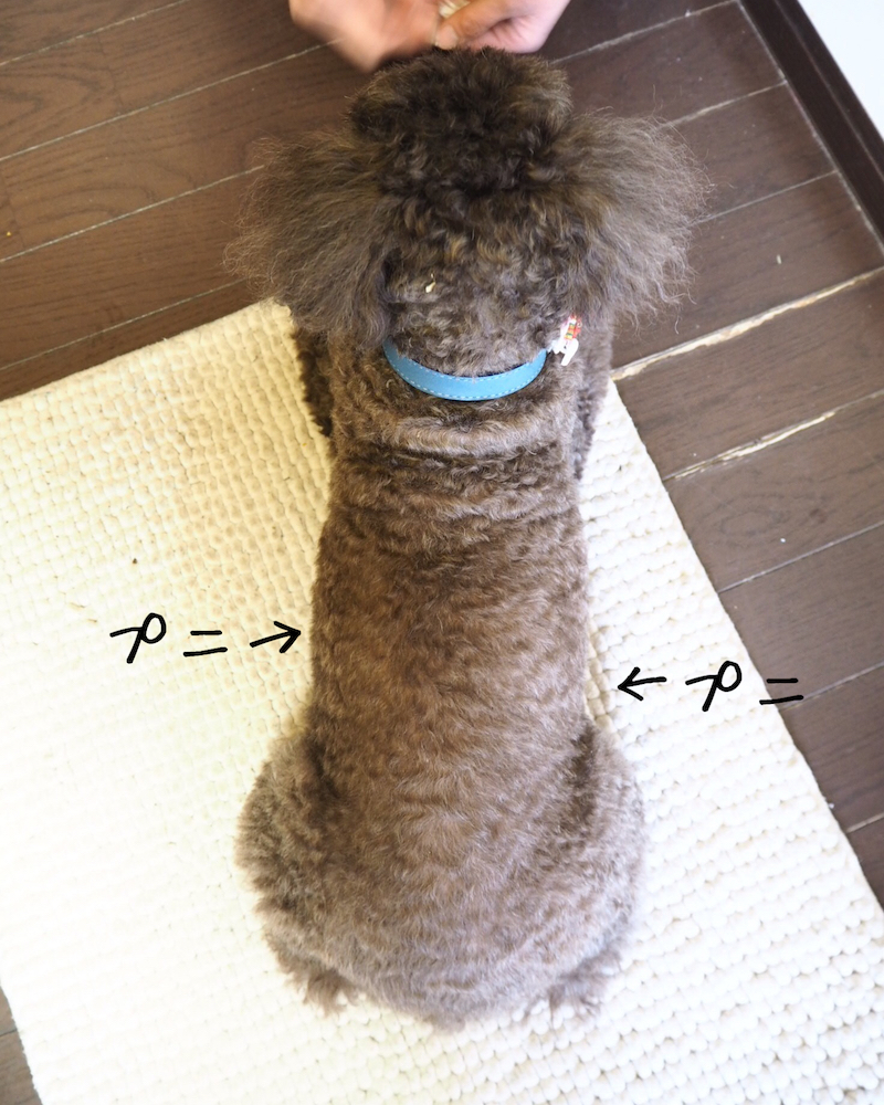 触ると気持ちのいいプニプニの脇肉が
