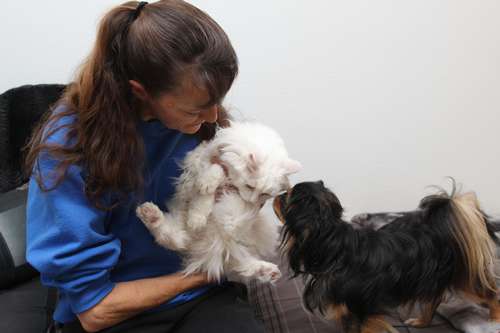 足に障害のあるシュガーと、クリスがシェルターから引き取った犬(c)大塚敦子