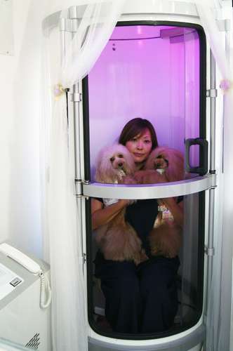 大野さんは、愛犬2匹をひざに抱えてカプセルに入った=東京都世田谷区