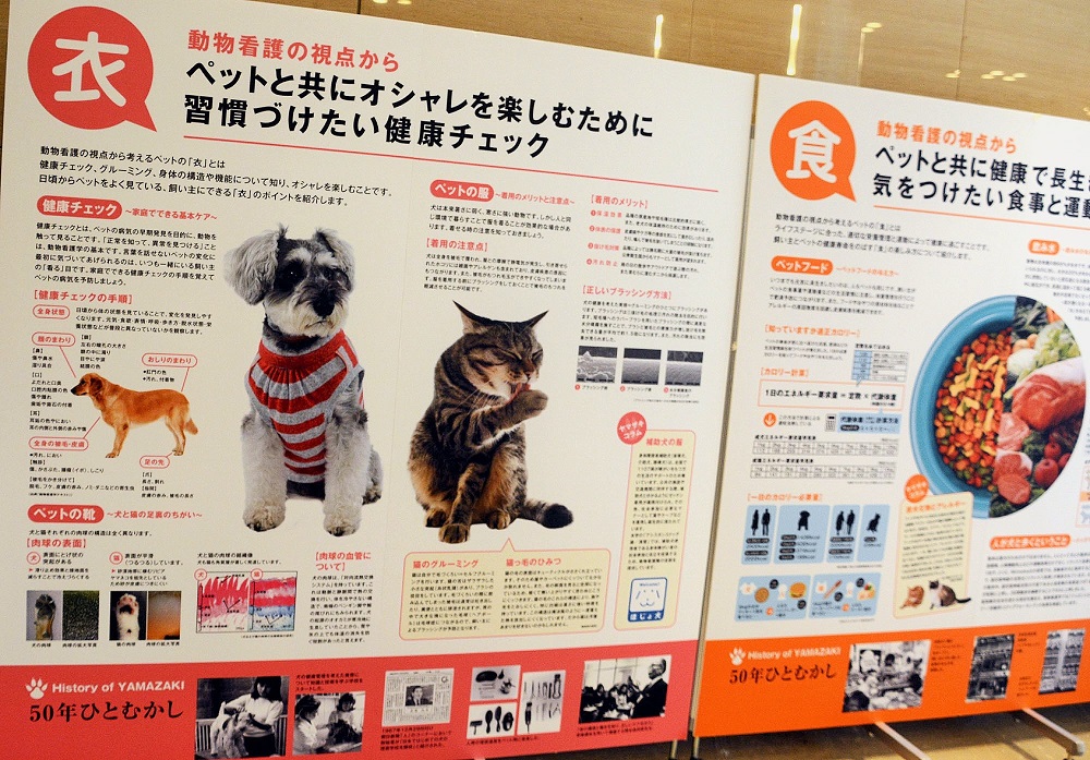 ロビーには衣食住についてのパネル展示も