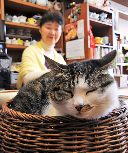 大塚さんに見守られてすやすやと眠る「もも」