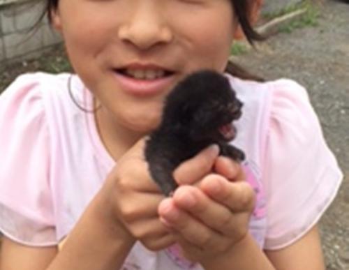 昨年7月、家の近所で子猫を保護した瞬間(お母さんが撮影)