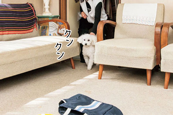 最初はマノンから。アロマオイルのにおいに気づき、探索する方に集中したら、離してスタート。