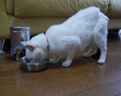20歳の秋、食欲旺盛