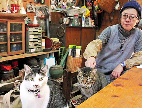 藤田裕子さんと猫たち