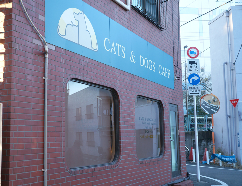 「CATS&DOGS CAFE」外観