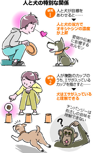 人と犬の特別な関係