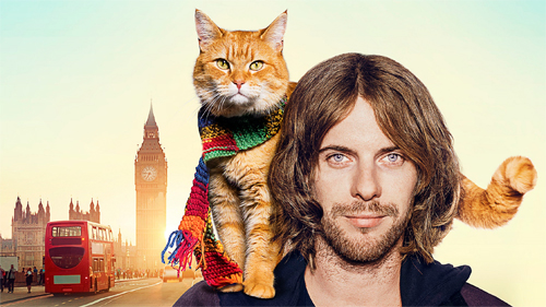 (c)2016 STREET CAT FILM DISTRIBUTION LIMITED ALL RIGHTS RESERVED.