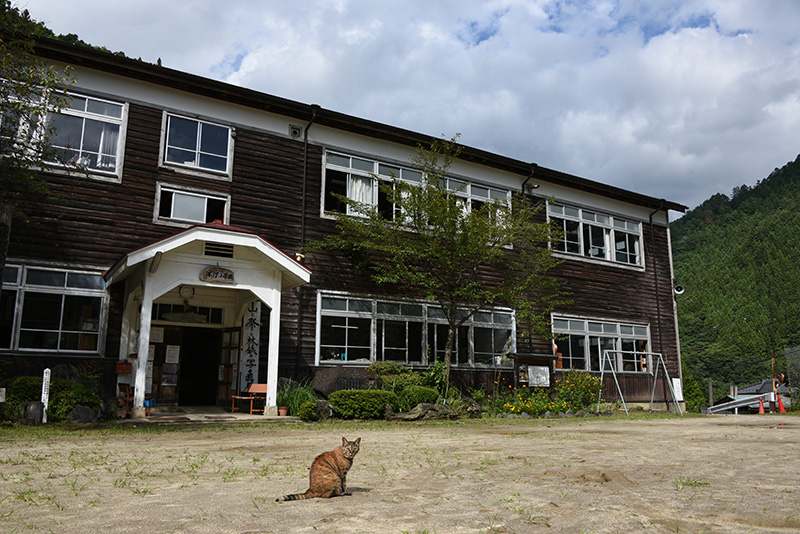 奥深い山々に囲まれた旧木沢小学校