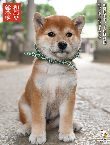 「和風総本家 二十代目 豆助 オフィシャル フォトブック」(新紀元社)