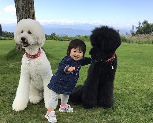 「大きなボク、小さなわたし」から