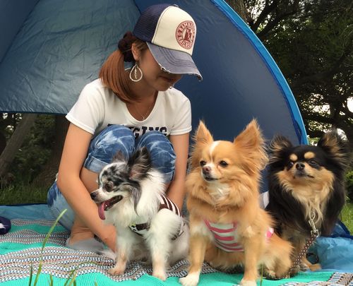 休日、愛犬3匹とキャンプ中