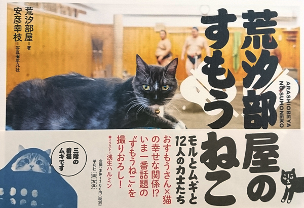 平凡社 1,300円+税