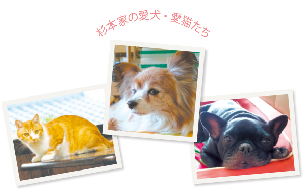 左:20年も飼っていたというモモタロウは夫妻のかすがい的存在だった 中:京都の家で老後を過ごしている小梅は17歳 右:飄々としたキナコも元保護犬だ