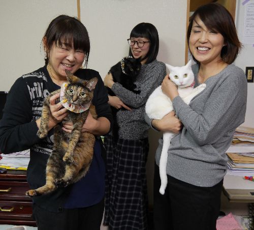美千子さん、彩香さん、猫友達の鈴木さん(腕にいるのは”預かり”をしていた「ちはる」)
