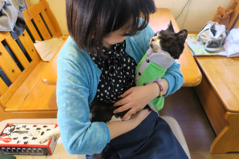 名を呼ぶと、目と尾を動かした