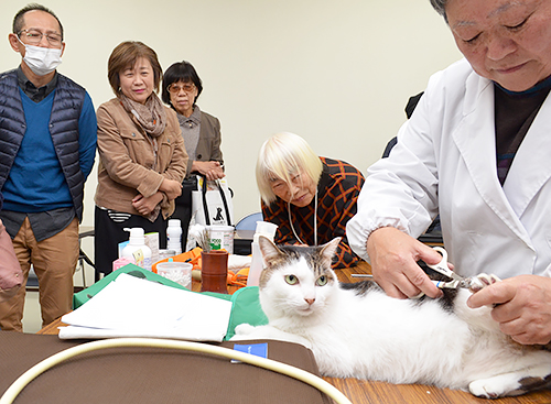 老猫の爪切りの実演もあった=福岡県行橋市