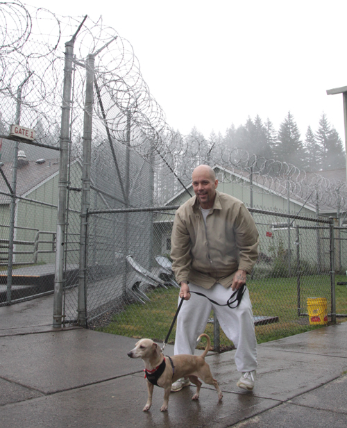480名の男性受刑者を収容するラーチ・コレクションズ・センターには、保護猫と保護犬両方のプログラムがある。