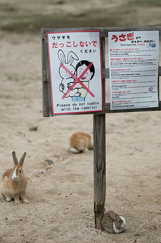 抱っこ禁止の看板(写真/uta)