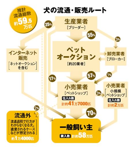 2008年に流通した犬の流通・販売パターンと流通総数について、環境省が推計したデータをもとに、独自の取材を加えて作成。%は推計流通総数に対する各ルートの流通数の割合を示す
出典:アエラ(2010年5月31日号)