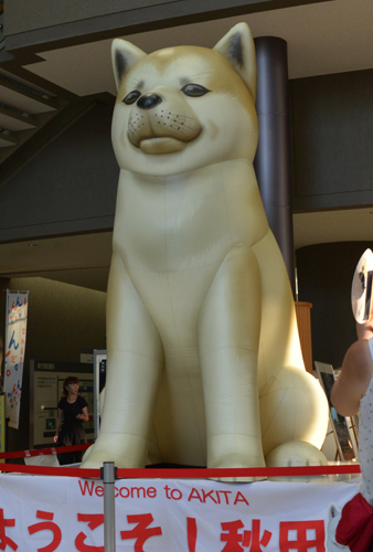 高さ3メートルの「秋田犬バルーン」=秋田市の県庁第2庁舎