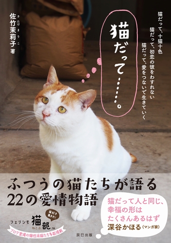 「猫だって…」(辰巳出版/佐竹茉莉子、定価1200円+税)